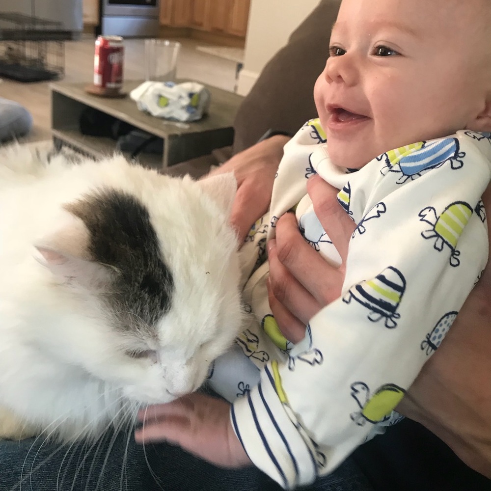 0-3 Month Turtle Outfit